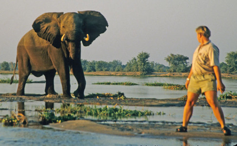 Elephant and Guide