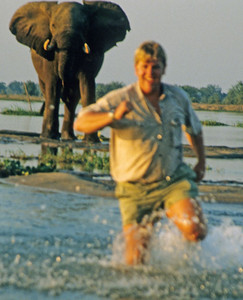 Elephant Scares Guide